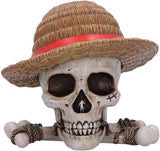 One Piece Luffy Jolly Roger Box 19.5cm