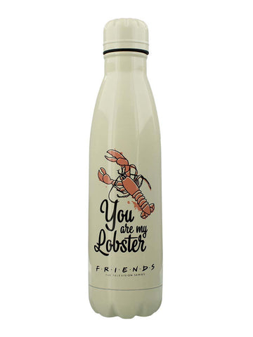 Friends (You Are My Lobster) Metal Drink Bottle